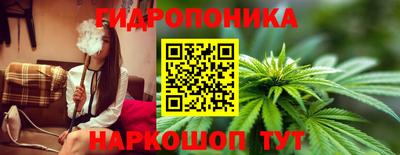 apvp Гатчина