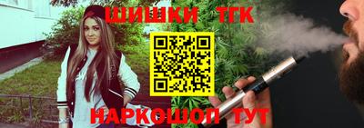 apvp Гатчина
