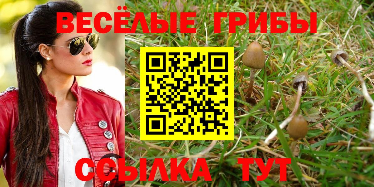 Псилоцибиновые грибы GOLDEN TEACHER  Галлюциногенные грибы Psilocybe  Вход с VPN  Сердобск 
